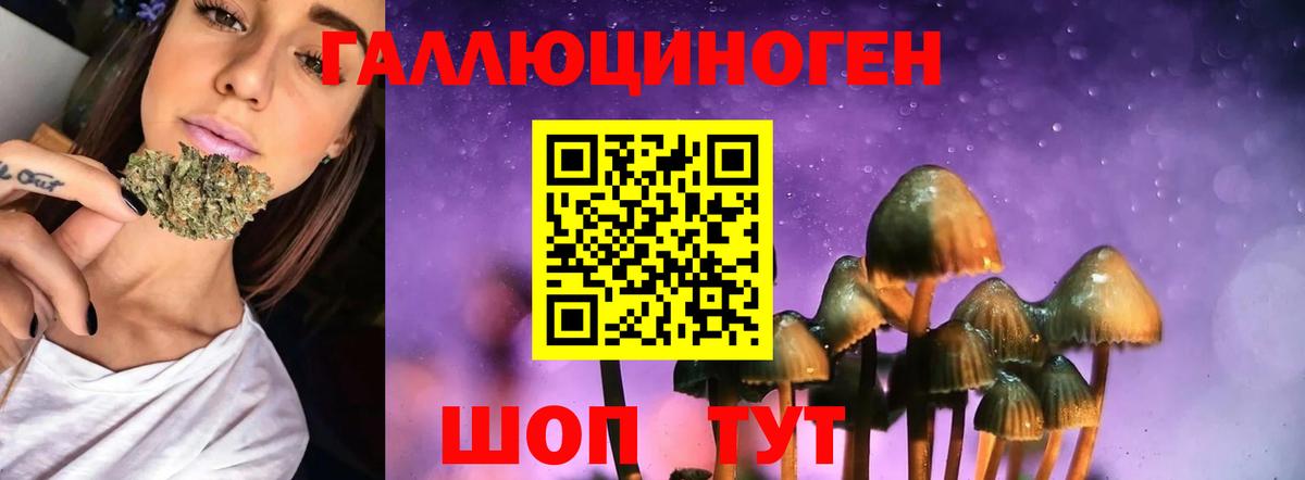 Галлюциногенные грибы Cubensis Людиново